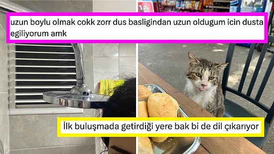 İstanbul'un Dünya Merkezi Olmasından Çirkin İnsanların Aşkına Son 24 Saatin Viral Tweetleri