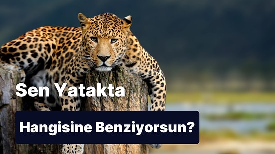 Yatakta Bir Panda mısın Leopar mı?