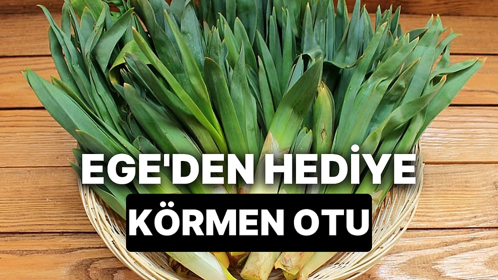 Körmen Otu Nasıl Tüketilir? Ege'de Yetişen Körmen Otu Nedir?