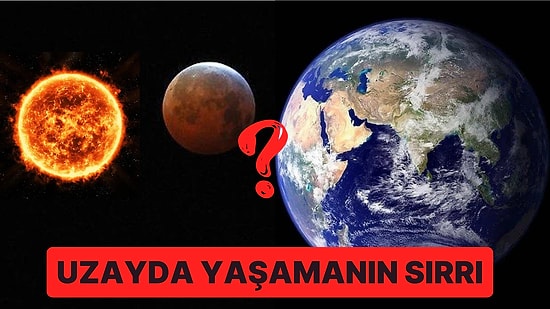 Bilim İnsanları Ay ya da Mars'ta Nasıl Hayatta Kalacağımızı Buldular