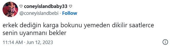 Ve görünüşe göre bundan tek nefret eden de o değil.