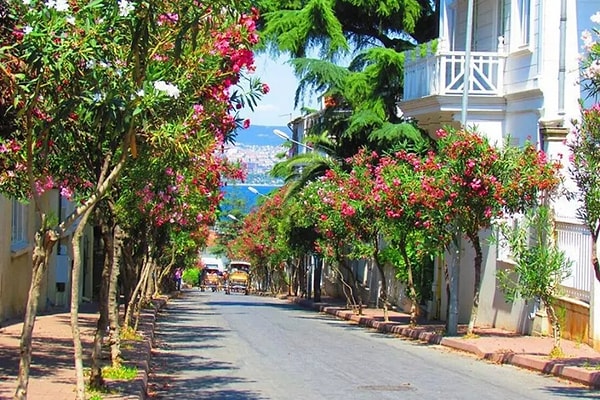 Exploring Kadıköy's Surroundings: