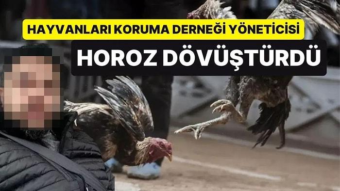 Hayvanları Koruma Derneği Yöneticisi Horoz Dövüşünde Basıldı