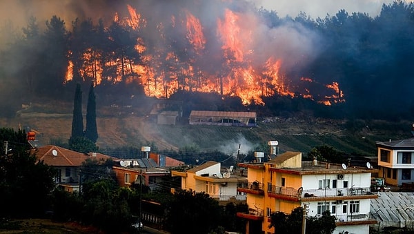 2024 yazında ise rekor sıcaklar görülecek ve orman yangınları riski yükselecek.