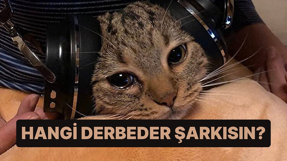 Hangi Dertli Şarkı Seni Anlatıyor?