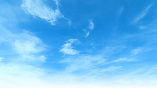 2. А из этих изображений?