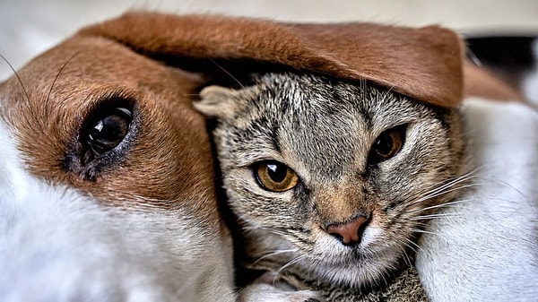 3. Какой снимок вызывает у вас чувства?