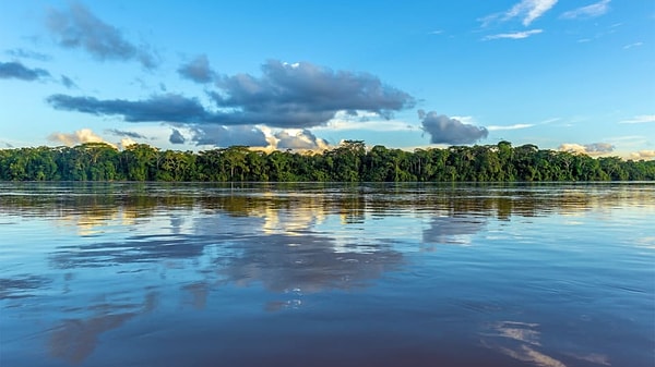 5. Какой снимок вызывает у вас спокойствие?