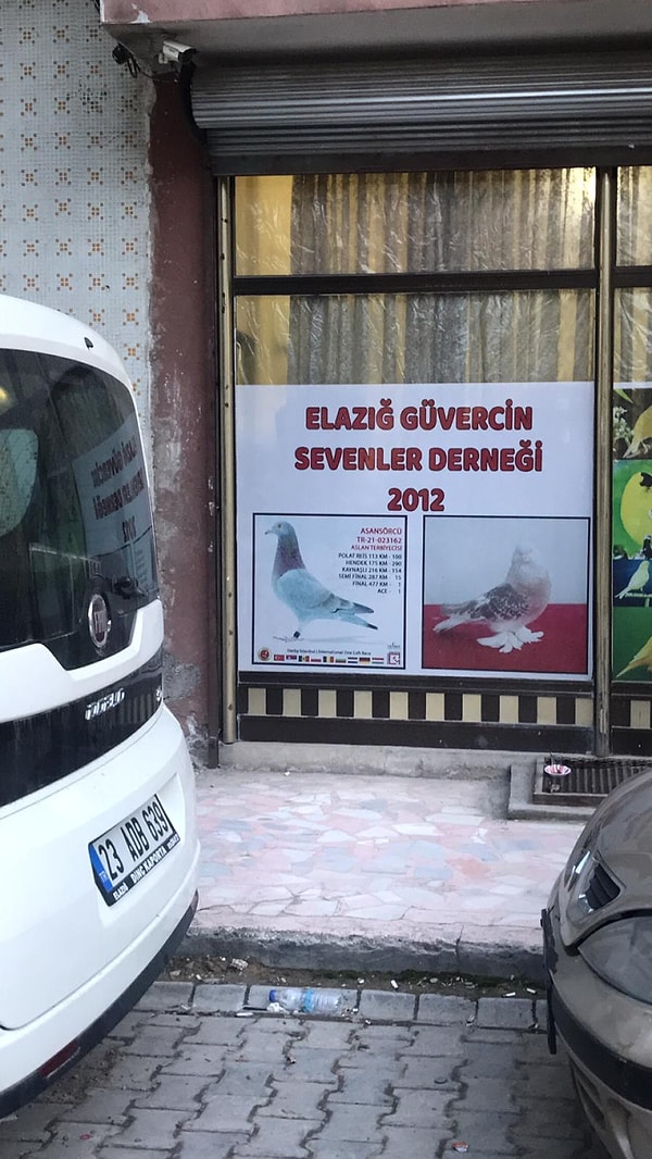 İşte dernek gibi dernek.