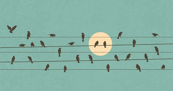 1. Какая птица обычно использовалась людьми для отправки сообщений?