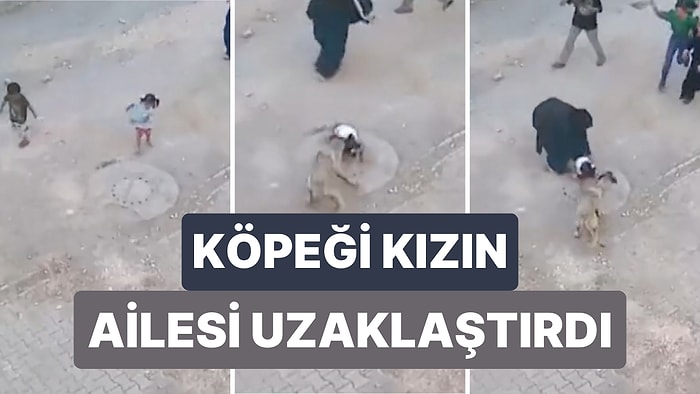 Şanlıurfa'da Küçük Bir Kız Çocuğu Ailesiyle Yürürken Bir Sokak Köpeğinin Saldırısına Uğradı