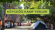 Okaliptüs ve Çınar Ağaçları Altında Köyceğiz’de Kamp Yapılacak En İyi 10 Yer