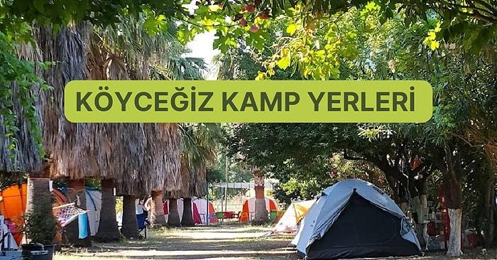 Okaliptüs ve Çınar Ağaçları Altında Köyceğiz’de Kamp Yapılacak En İyi 10 Yer