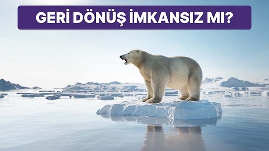 İklim Değişikliği Dünyayı Tehdit Ediyor: Geri Dönüş Zor mu?