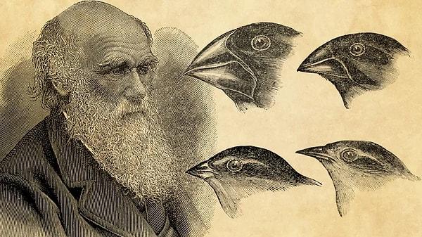 5. Charles Darwin'in evrim teorisi, doğal dünyayı daha iyi anlamaya yaramıştır ve zamanın geleneksel dini inançlarını sorgulatmıştır.