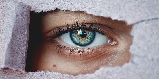 Тест на любознательность: Слабо осилить все вопросы?