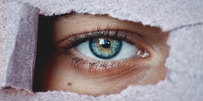 Тест на любознательность: Слабо осилить все вопросы?