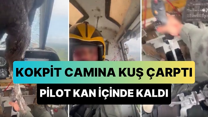 Seyir Halindeki Uçağın Ön Camına Çarpan Kuş Kokpit Camını Paramparça Etti: Pilot Kan İçinde Kaldı