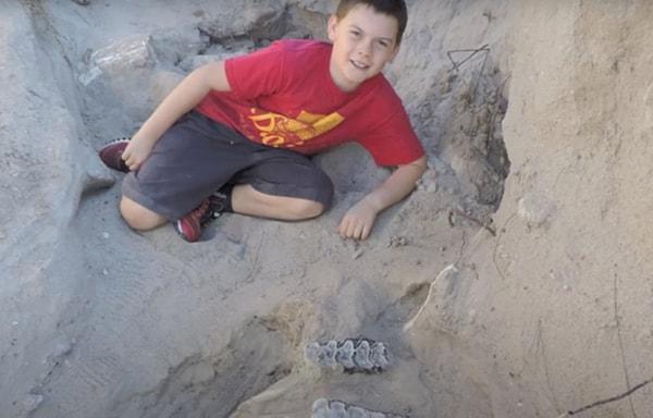 7. Mexico City'de bir çocuğun ayağının takılıp düşmesiyle keşfedilen Stegomastodon fosili.