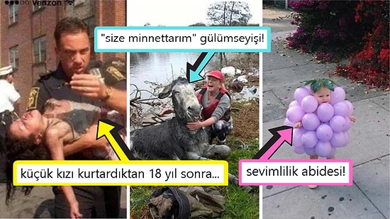 Gördüğünüz Anda İçinizin Yağlarını Eritip Sizi Pamuk Gibi Yapacak Birbirinden Etkileyici 15 Görsel