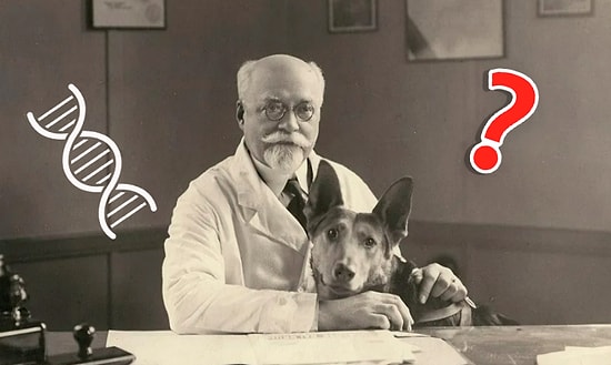 Тест по биологии для школьников 1965 года: Сможете ли вы его пройти?