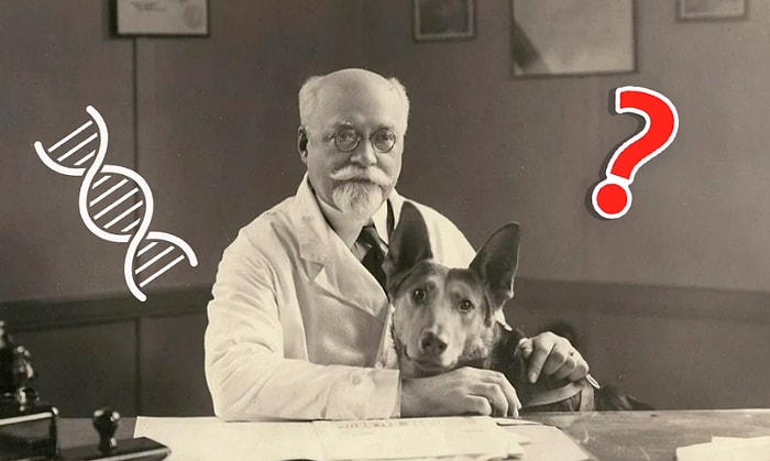 Тест по биологии для школьников 1965 года: Сможете ли вы его пройти?