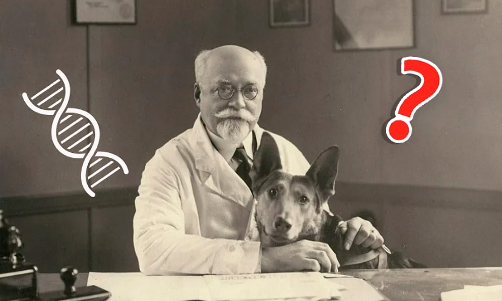 Тест по биологии для школьников 1965 года: Сможете ли вы его пройти?