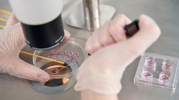 Cambridge Üniversitesi ve Kaliforniya Teknoloji Enstitüsü'nden araştırma ekibi, kök hücreleri kullanarak sentetik insan embriyoları üretti.