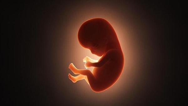 Araştırmacılar aslında bu embriyoları kullanarak hamilelik sırasında meydana gelebilecek sorunlara dair araştırmalar yapmayı amaçlıyor.