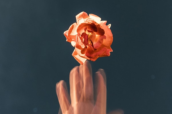 4. Что такое катарсис?