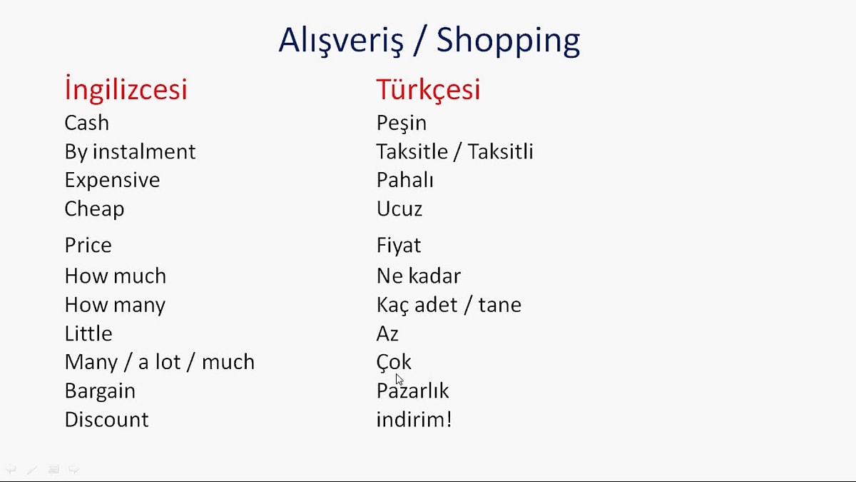 Turkish Language 101: Essential Words and Phrases for Beginners