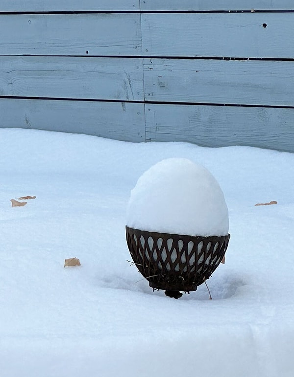 36. Идеальное яйцо на подставке