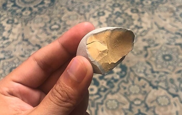 38. «Камень, который я нашел на пляже, выглядит как вареное яйцо»