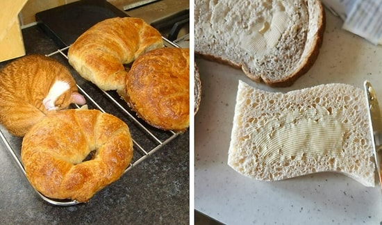 40 фото вкусно выглядящей «еды», которую ни в коем случае нельзя есть