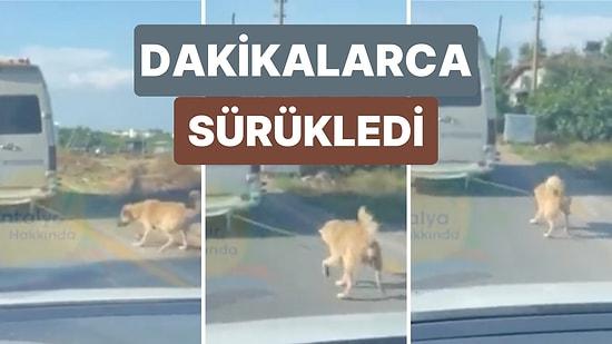 Antalya'da Bir Araç Köpeği Aracın Arkasına Bağlayarak Dakikalarca Yolculuk Yaptı