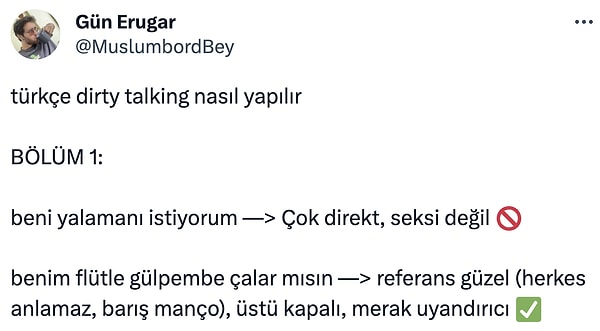 Türkçe dirty talking olmaz diyenlere gelsin...