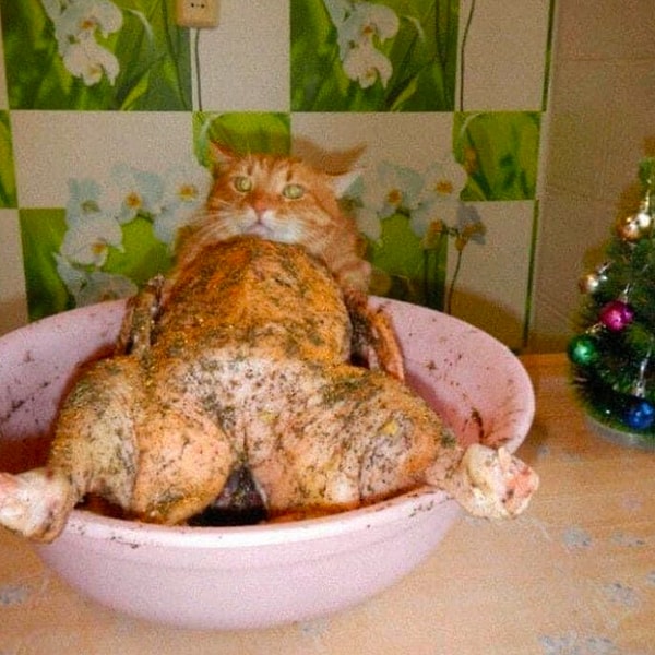 4. Вот это да 😂