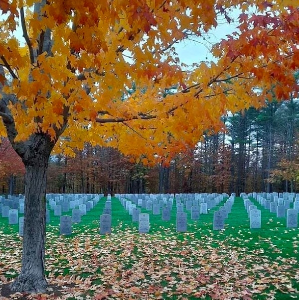 14. Вы не поверите, что это одна картинка...