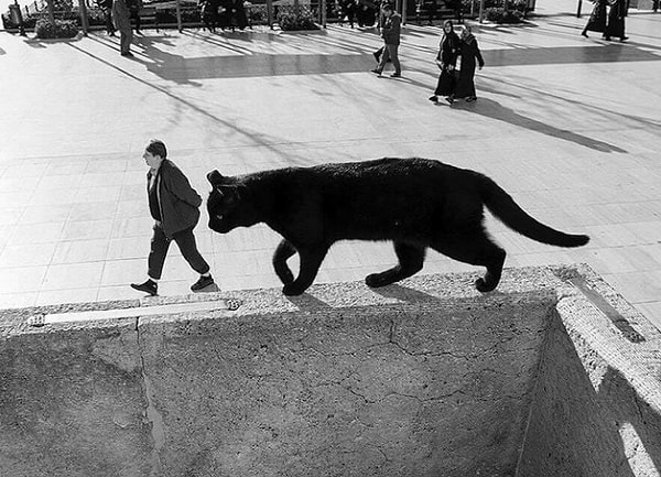 20. Как вам размерчик?