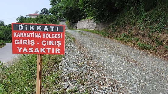 Ardahan'da Şap Alarmı: 99 Köy Karantinaya Alındı