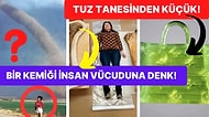 Tarihten Günümüze Hayatı Sorgulamanıza Sebep Olmaya Aday Birbirinden İlginç 17 Görsel
