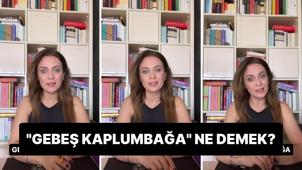 Hard Kapitalizm Sözleri ile Tanınan Azadi Kaya'nın Sık Sık Kullandığı 'Gebeş Kaplumbağa' Ne Demek?