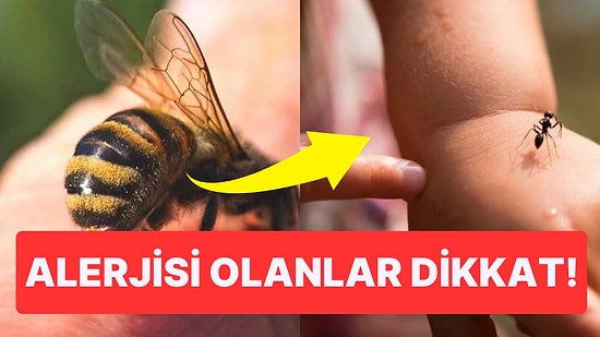 Böceklerden Örümceklere...Yaz Aylarında Artan Isırılma Vakalarında Yapmanız Gerekenler