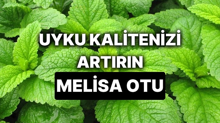 Melisa Otunun Faydaları Nelerdir? Anksiyeteye İyi Gelmesiyle Bilinen Melisa Otu Çayı Nasıl Hazırlanır?