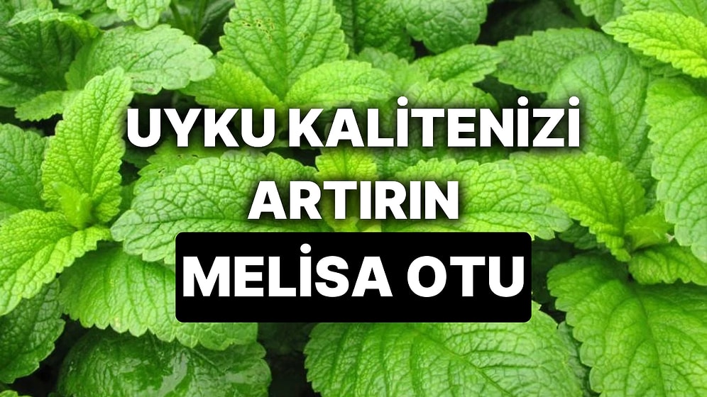 Melisa Otunun Faydaları Nelerdir? Anksiyeteye İyi Gelmesiyle Bilinen Melisa Otu Çayı Nasıl Hazırlanır?