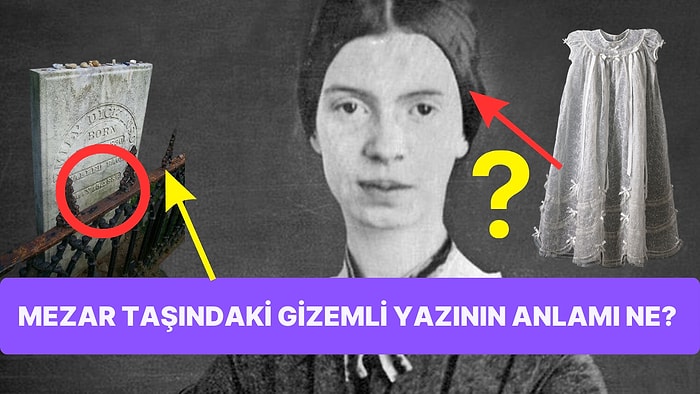 Ölümünün Ardından Şiirlerinin Yakılmasını İsteyen Amerikalı Şair Emily Dickinson Hakkında 16 İlginç Gerçek