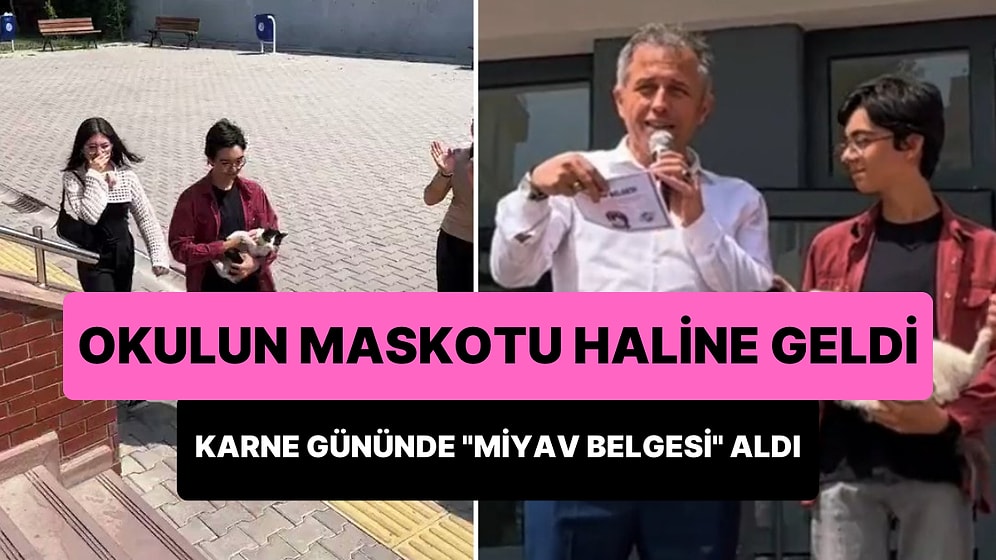 Bağcılar'da Okulun Maskotu Haline Gelen Kediye Karne Gününde 'Miyav Belgesi' Verildi