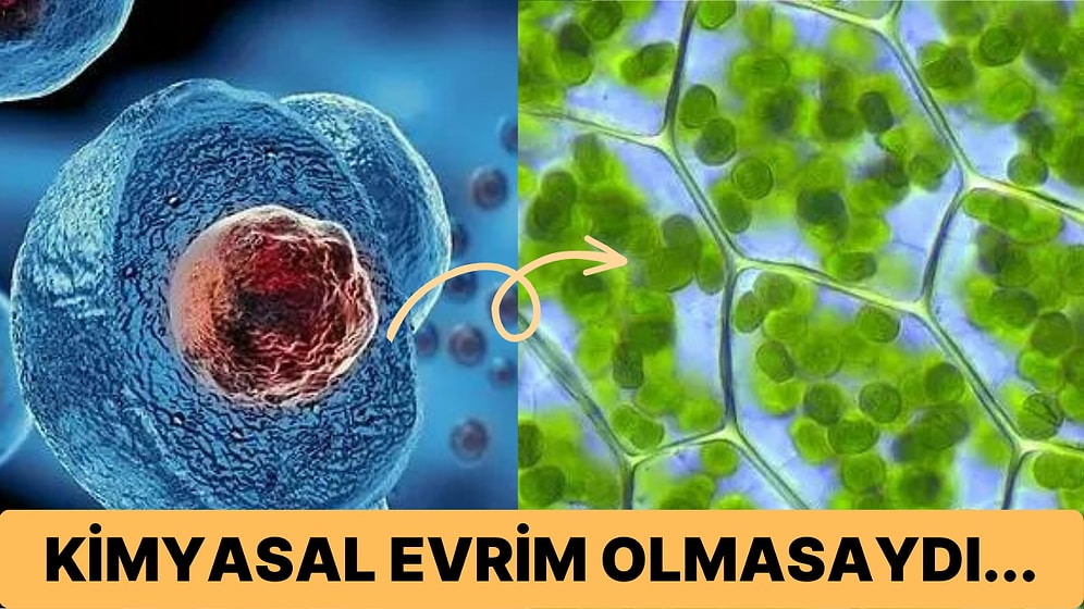 Evrimin Yolculuğuna Büyük Bir Adım: İlk Hücrenin Büyüleyici Yapısı ve Hikayesi