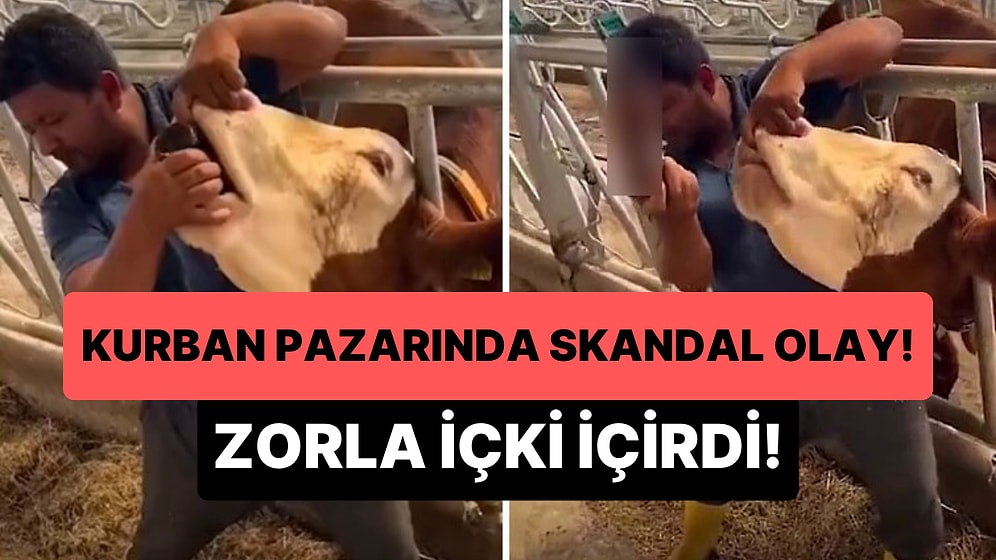 Kurban Bayramı Öncesi Skandal Görüntüler: Kurban Pazarındaki Büyükbaş Kurbanlığa Zorla İçki İçirdi!