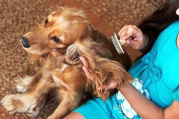 Evcil hayvanınızı temizleyerek evinizi daha temiz tutmanız mümkün. Kedi veya köpeğinizi düzenli tarayarak evinizdeki temizliği daha kolay sağlayabilirsiniz.